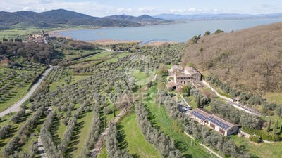 /international/it/magione-umbria-310098698437/