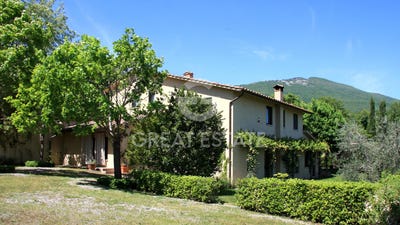 /international/it/cetona-tuscany-310105822410/