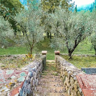 /international/it/monticiano-tuscany-310107256394/