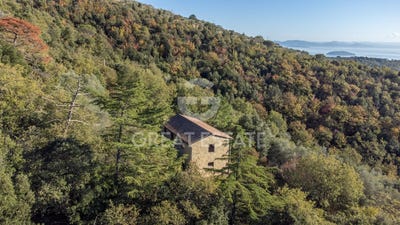 /international/it/tuoro-sul-trasimeno-umbria-310105165694/