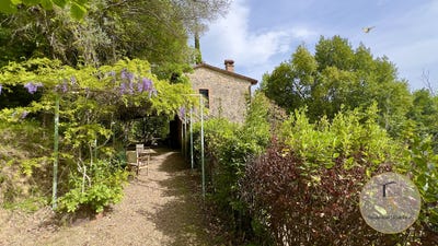 /international/it/cetona-tuscany-310110359377/