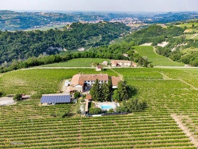 /international/it/canelli-piedmont-310106837426/