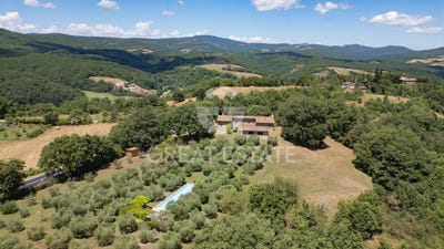 /international/it/san-venanzo-umbria-310102748443/
