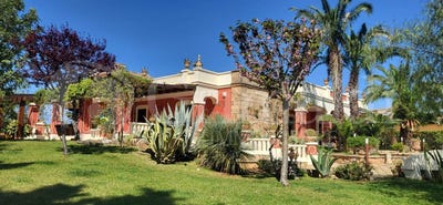 /international/it/casarano-apulia-310099759590/