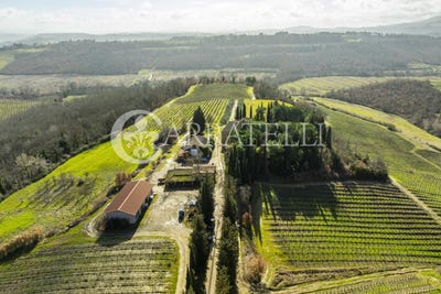/international/it/certaldo-tuscany-310106068952/