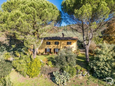 /international/it/monsummano-terme-tuscany-310104190990/