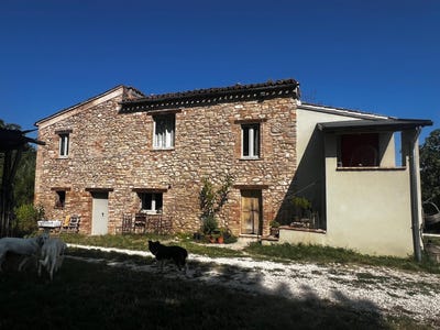 /international/it/rotella-marche-310101962744/