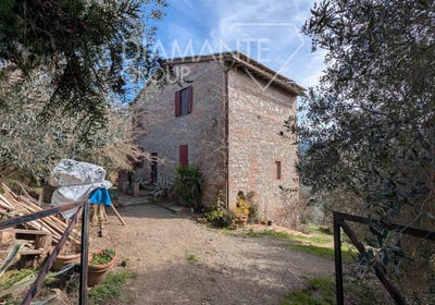 /international/it/citta-della-pieve-umbria-310107709129/