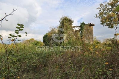 /international/it/allerona-umbria-310099685503/