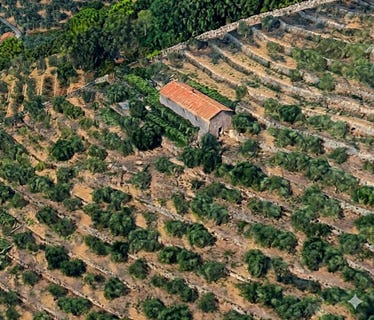/international/it/calci-tuscany-310106332201/