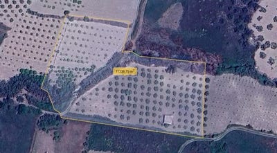 /international/it/cianciana-cianciana-sicily-310106483232/