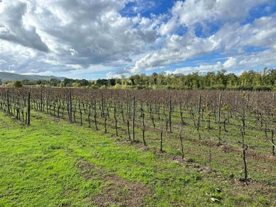 /international/it/grosseto-tuscany-310100714978/