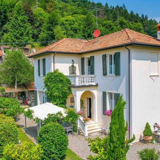 /international/it/bee-piedmont-310108792869/