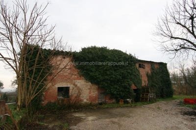 /international/it/bettolle-tuscany-310097550077/