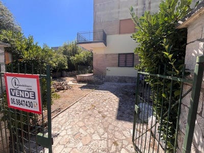 /international/it/lavinio-lido-di-enea-lazio-310104797167/