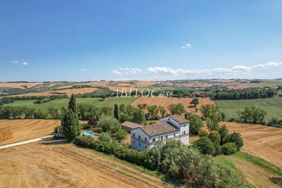 /international/it/filottrano-marche-310106053104/