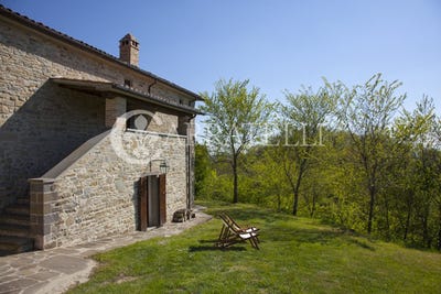 /international/it/citta-di-castello-umbria-310099732074/