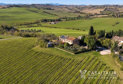 /international/it/monte-san-vito-marche-310104079161/
