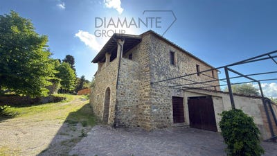 /international/it/montalcino-tuscany-310108553933/