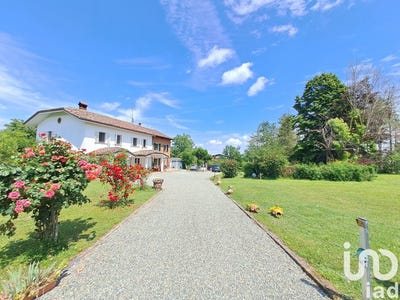 /international/it/masio-piedmont-310106711494/