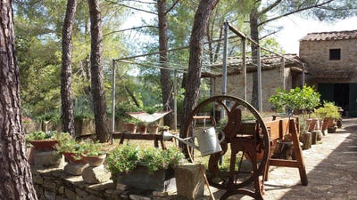 /international/it/firenze-tuscany-310108322815/