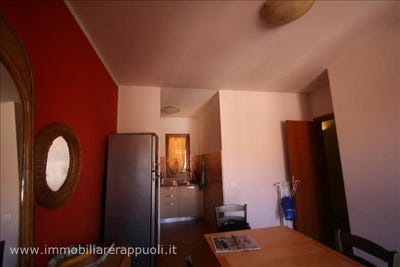/international/it/torrita-di-siena-tuscany-310105994894/