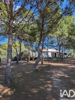 /international/it/carloforte-sardinia-310104288123/