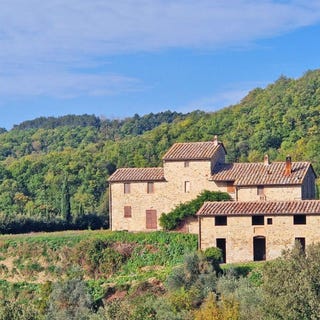 /international/it/castelnuovo-berardenga-tuscany-310107979304/
