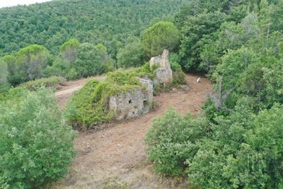 /international/it/lisciano-niccone-umbria-310103589766/