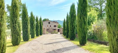 /international/it/citta-di-castello-umbria-310106682187/