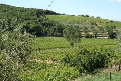 /international/it/siena-tuscany-310108319520/