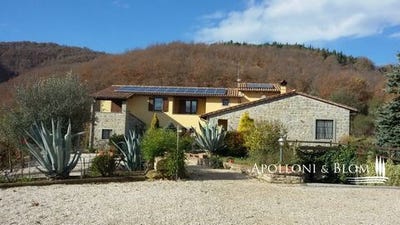 /international/it/sp-43-lisciano-niccone-umbria-310101836031/