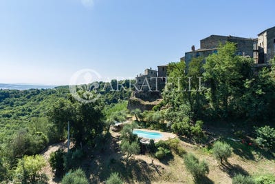 /international/it/civitella-d-agliano-lazio-310103666383/