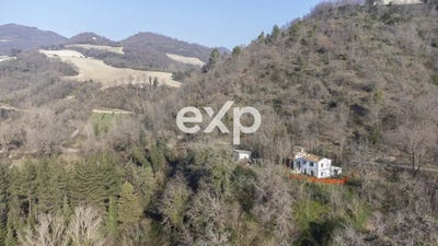 /international/it/via-molino-colli-al-metauro-marche-310106935029/