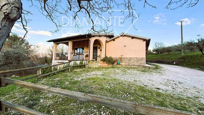 /international/it/castel-ritaldi-umbria-310106289666/