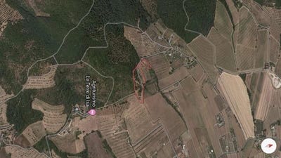 /international/it/magione-umbria-310101183814/?lang=id