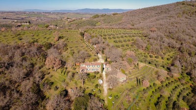 /international/it/citta-della-pieve-umbria-310110358218/