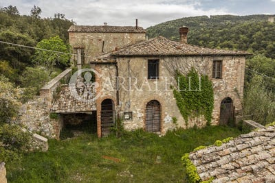 /international/it/sovicille-tuscany-310101863454/