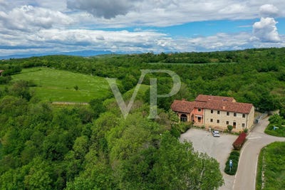 /international/it/lonigo-veneto-310108264962/