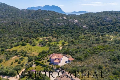 /international/it/olbia-sardinia-310108318037/