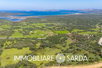 /international/it/santa-teresa-gallura-sardinia-310107046821/