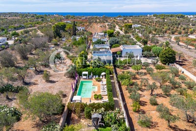 /international/it/galatone-apulia-310106711659/