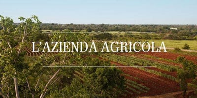 /international/it/capalbio-tuscany-310100708590/