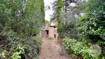 /international/it/cetona-tuscany-310109175903/?lang=id