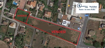 /international/it/nettuno-lazio-120090193495/