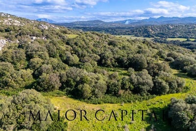 /international/it/arzachena-sardinia-310108317127/