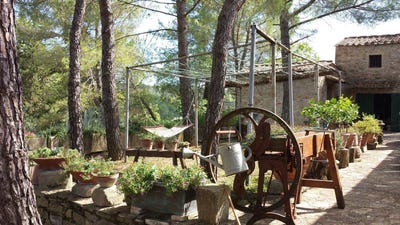 /international/it/barberino-val-d-elsa-tuscany-310104065347/