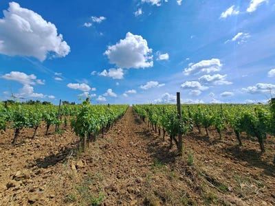 /international/it/siena-tuscany-310108325211/