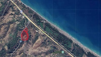 /international/it/ciro-calabria-310101497293/?lang=it