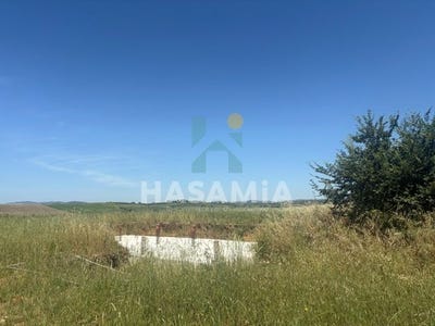 /international/it/strada-provinciale-amiatina-7-magliano-in-toscana-tuscany-310108589348/